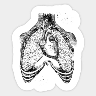 Human heart and lungs Sticker